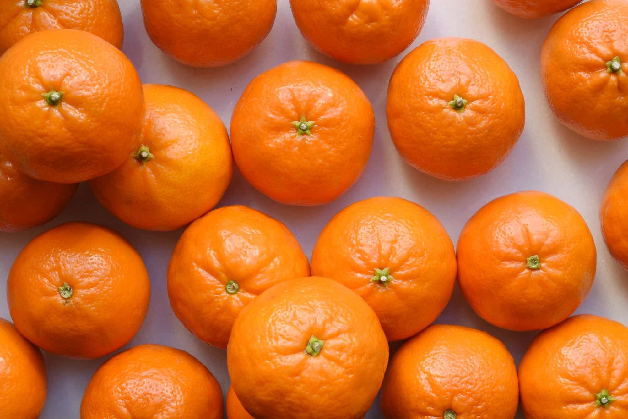 Mag Een Hond Mandarijn? Bekijk Nu Of Het Wel Of Geen Kwaad Kan! Consumentenhond