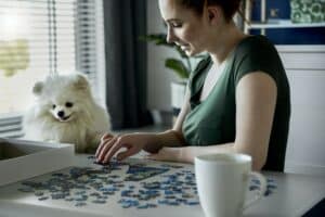 Hondenpuzzel: Bekijk Nu De 9 Beste Puzzels Voor Honden 😊