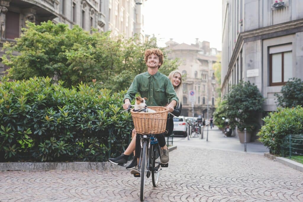 Basil hondenfietsmand: 7x de beste Basil hondenfietsmand van 2024! 1 basil-hondenfietsmand