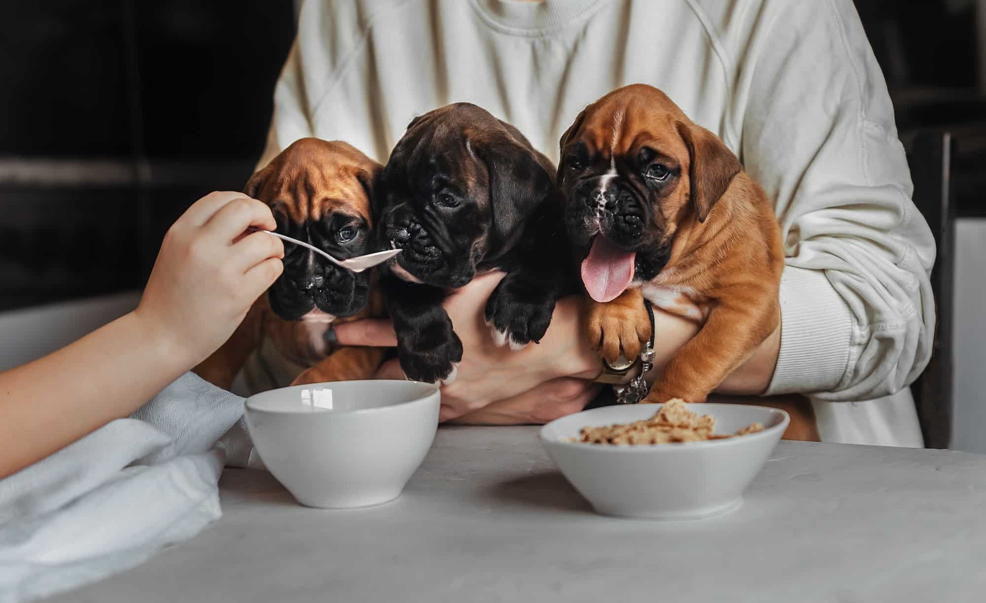 puppymelk