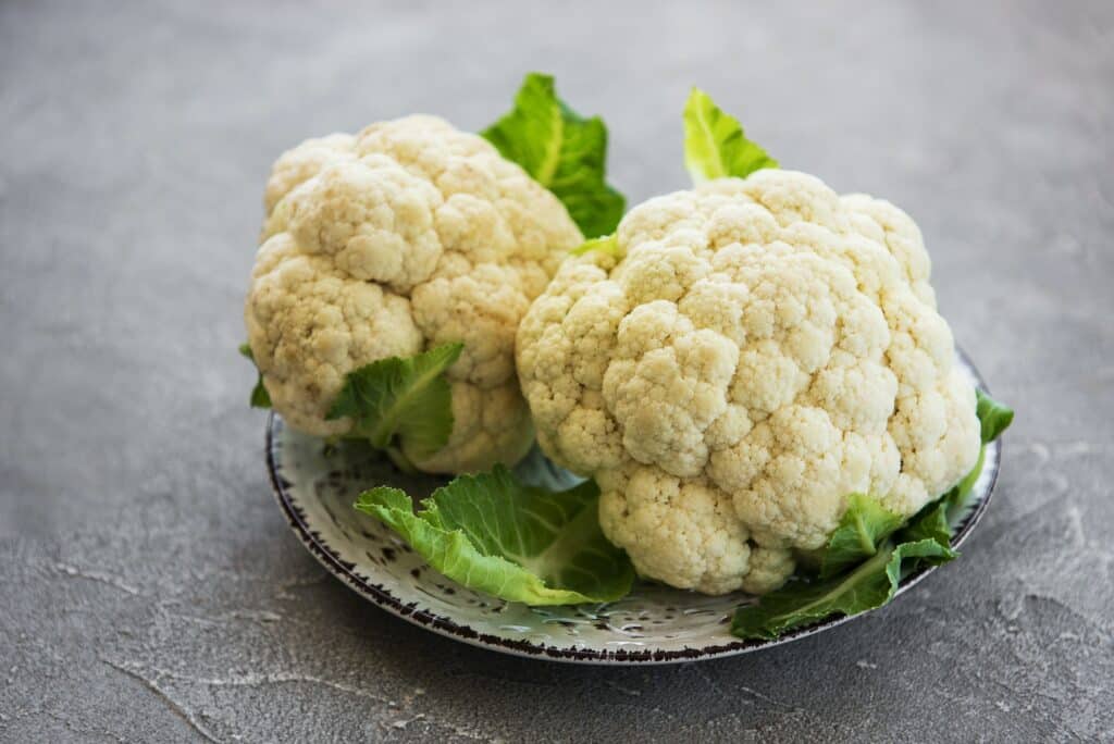 mogen-honden-bloemkool